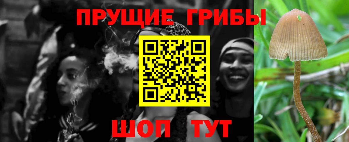 Прохладный  Галлюциногенные грибы MAGIC MUSHROOMS  Вход с VPN  Галлюциногенные грибы прущие грибы 